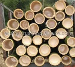 eco2govn_sales_1 (26).jpg