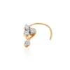 Rose d'or