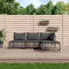 Anthracite Color