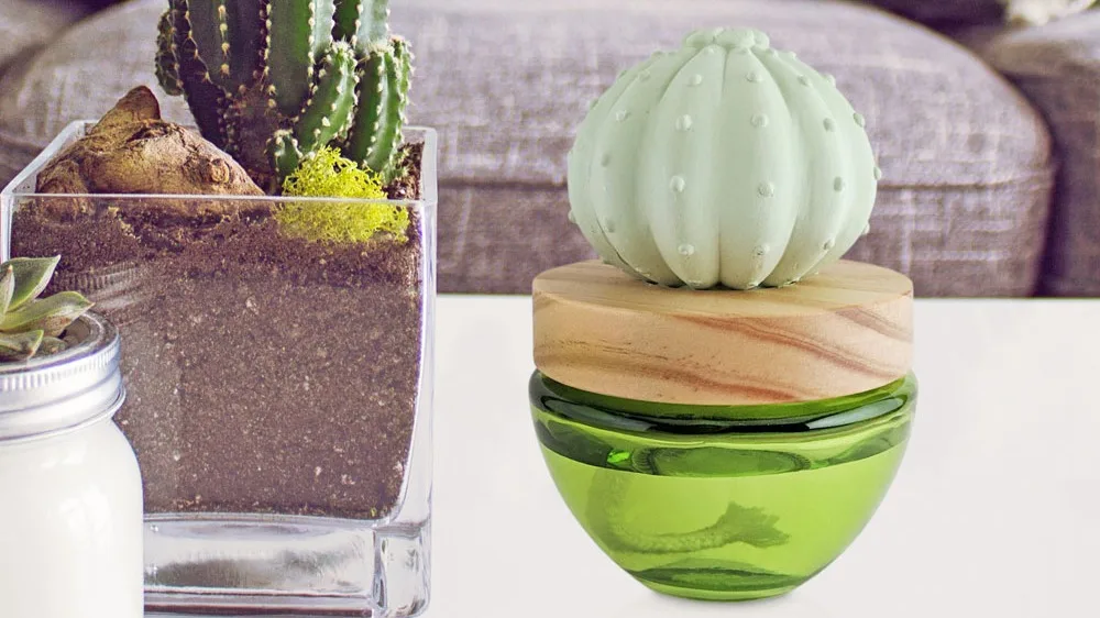 natural cactus reed diffuser clay diffuser 100ml home decoration