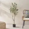 Green Color