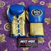 Blue & Golden