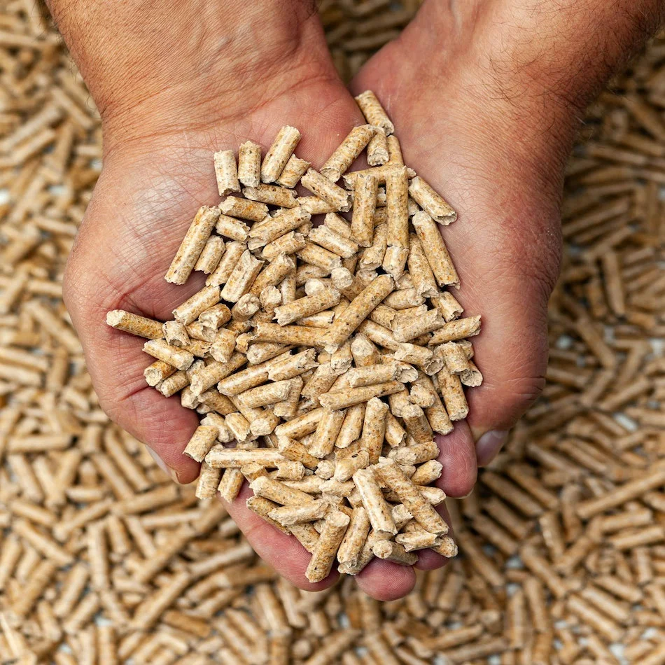 wood pellets2.jpg
