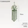 Green money tree