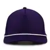 สีม่วง