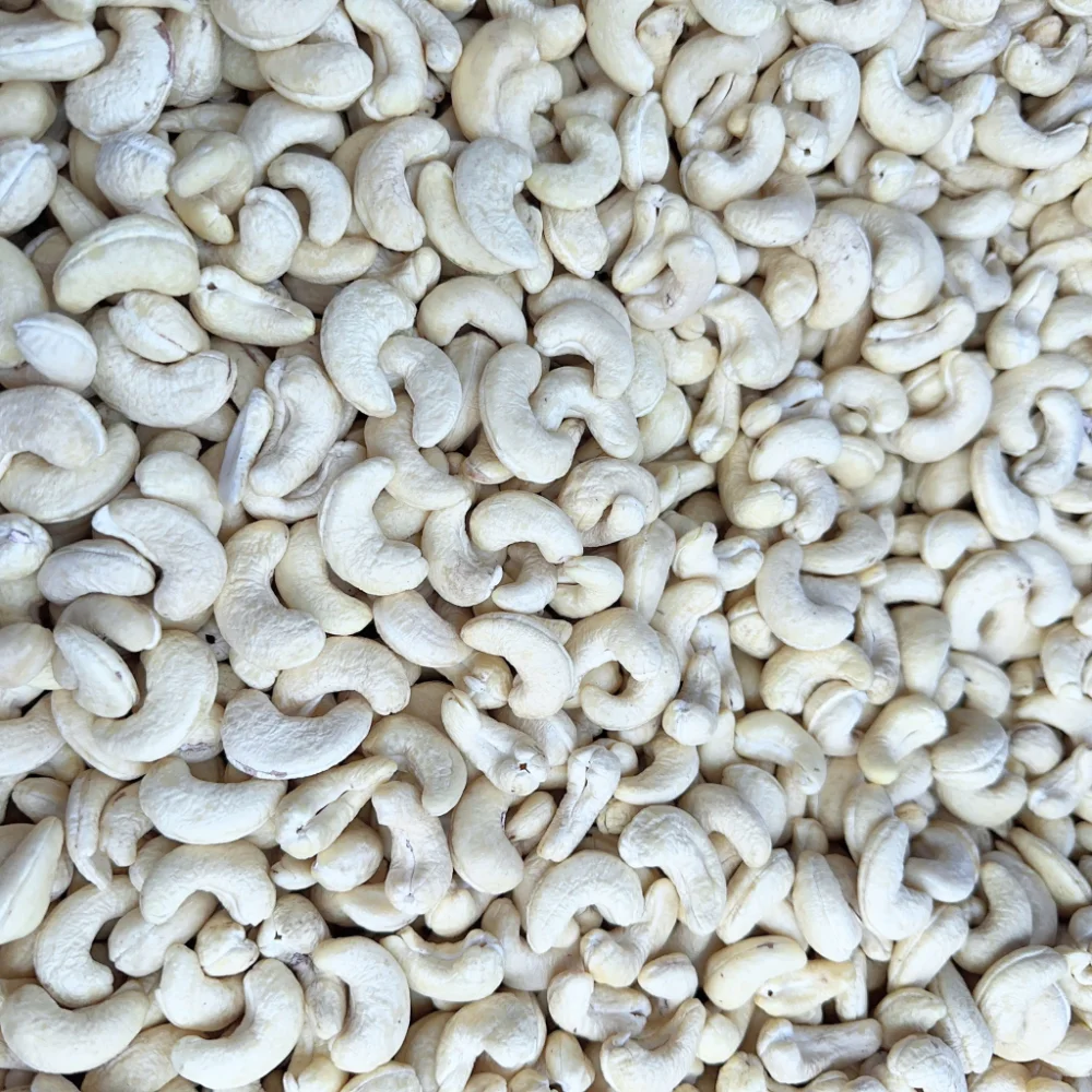 Wholesale-Cheap-Raw-Cashew-Nut-Wholesale-Cashew-Nuts-W320-Premium-Vietnam-Cashew-Nuts-Short-Leadtime.png