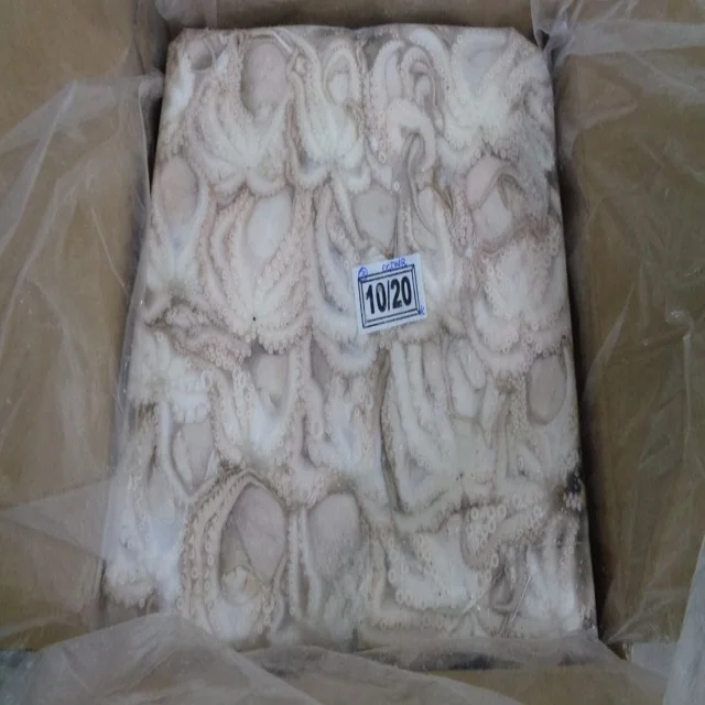 HIGH QUALITY FROZEN OCTOPUS WHOLE FROM INDIA
