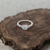 18K Gold (Moissanite)