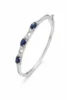Blue Sapphire