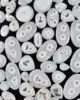 White, Sold by Weight(grams), 12 to 14pcs per 100g