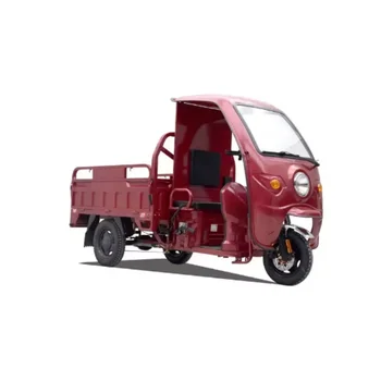 Cargo Trike Electric Motor Three Wheel Mini Truck Electric Tricycle 2 Passenger Mini Electric Car for Adult Open Qute Bajaj 2024