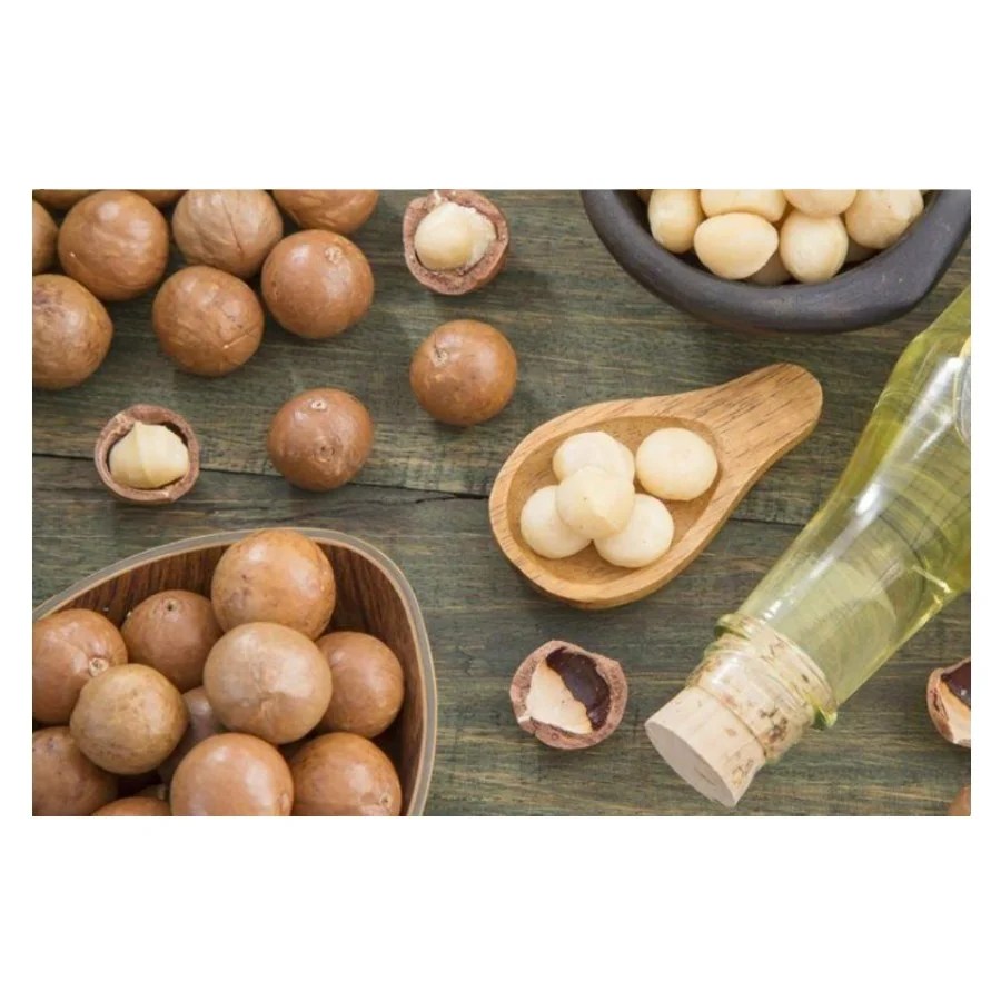 Best-Price-Export-Quality-From-Vietnam-Competitive-Price-Nutritious-Macadamia-Nut.jpg