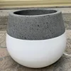 Grey and white