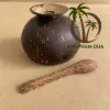 natural color of coconut