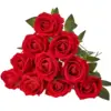 Red Color