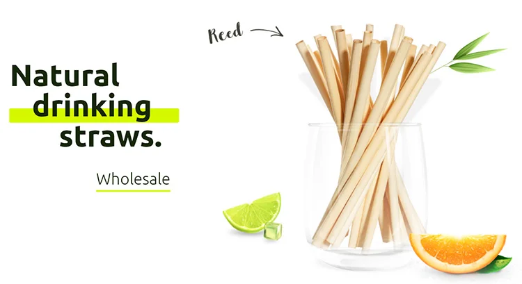 Reed Straws Wholesale