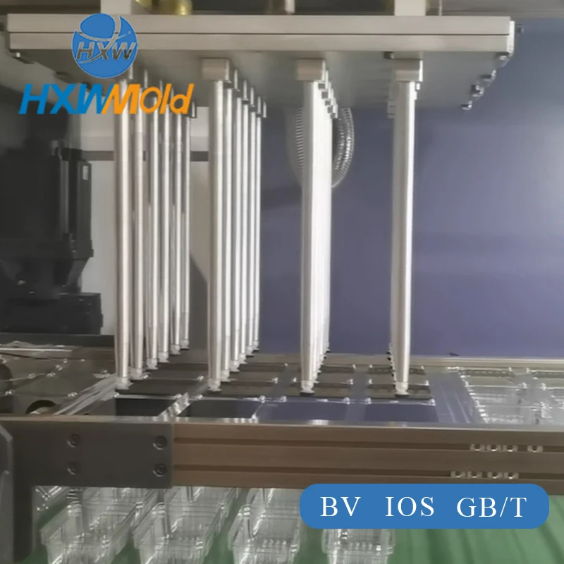 Disposable Plastic Thermoforming Machine Mold for Food for Making Boxes for Cake Lunch Sweet Sushi Fruit