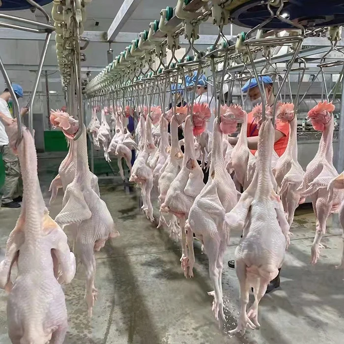 Customizable New Condition Chicken Slaughter Machines Chicken Slaughter Line  Poultry Slaughterhouse Equipment