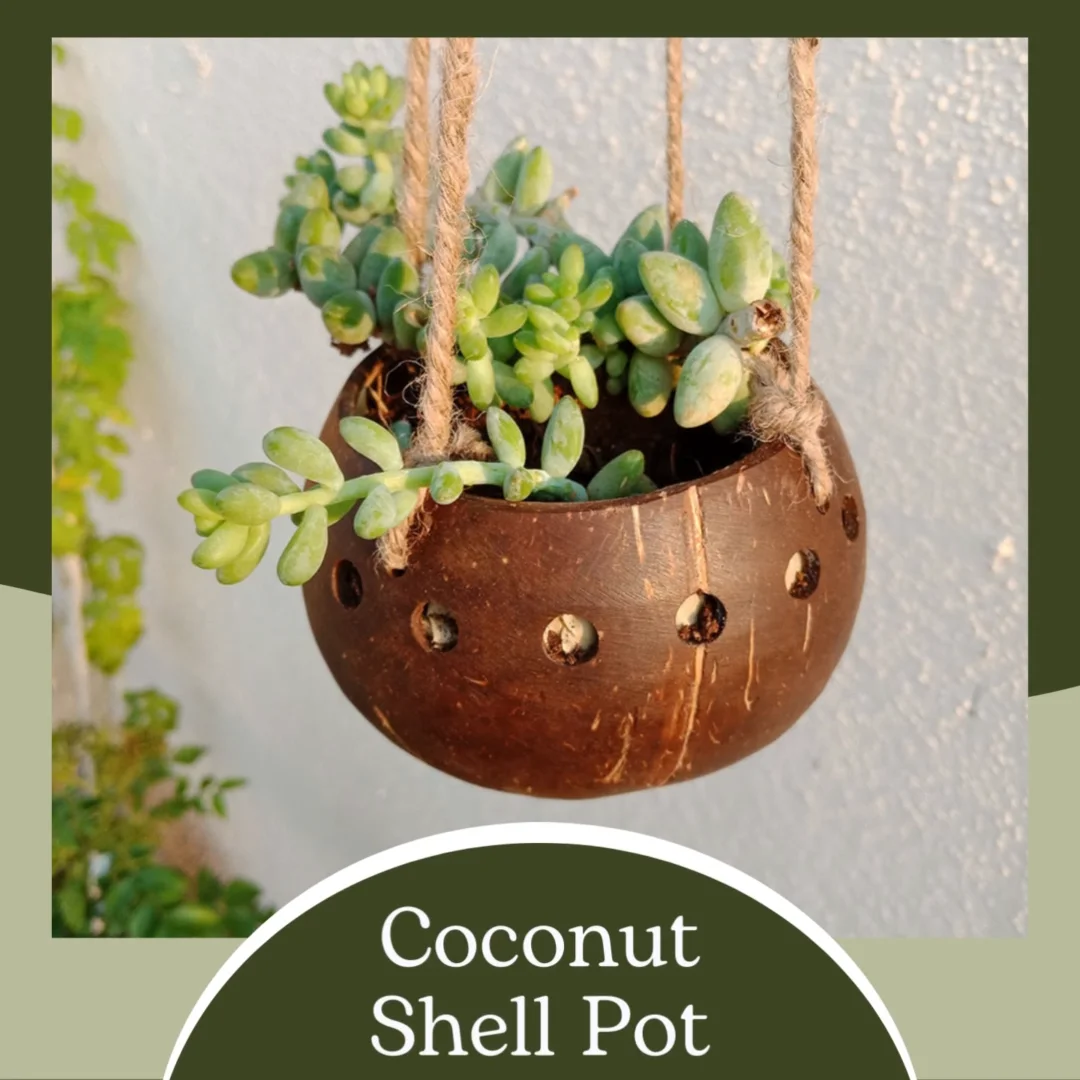 natural coconut shell hanging flower mini