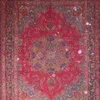 Multicolore