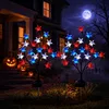 Three-Color Star Light
