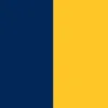 Navy & Gold