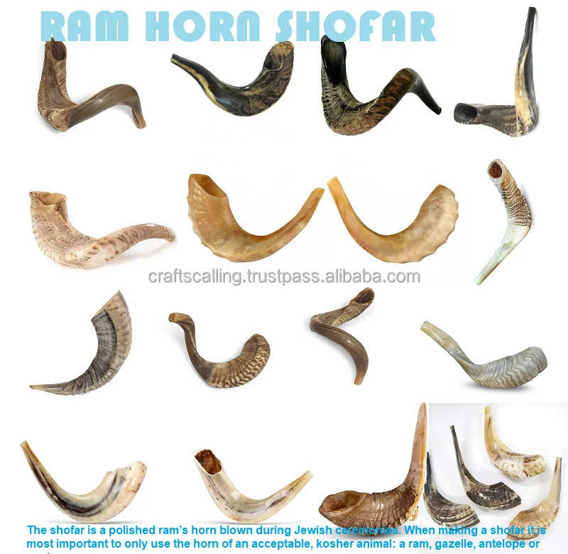 Wholesale Rams Horn Shofar Polished Handmade From India By Crafts ...