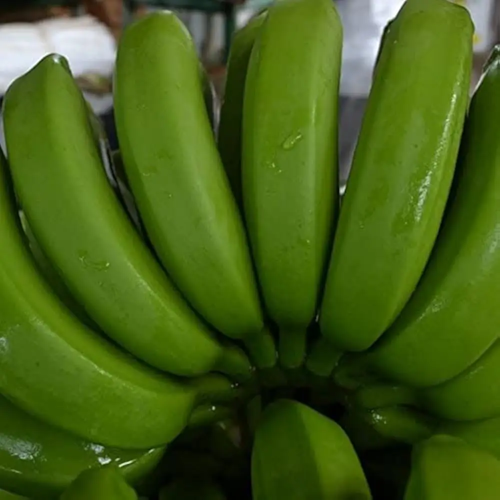 Wholesale Cheap Cavendish Banana Top Quality Fresh Sweet Yellow/Green Cavendish Banana - Fresh Fruits Wholesale Factory Price