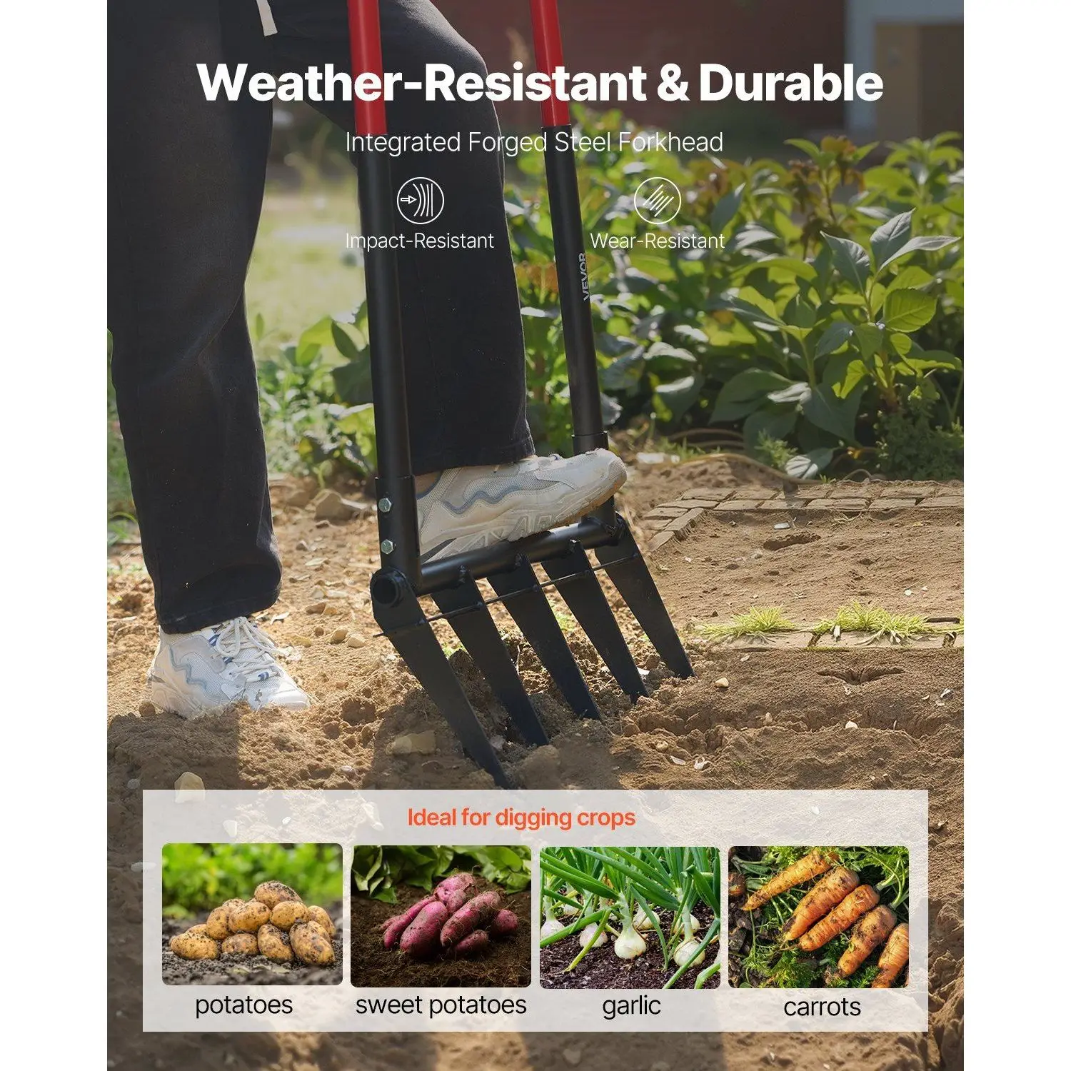 Sffa9666a752f4ab4a3689f3175ba1144B