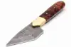 Amber/Brown Wood Burl