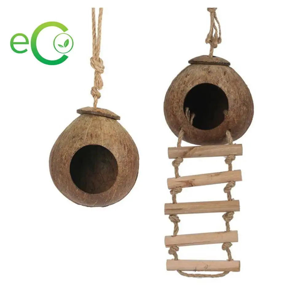 Лидер продаж 2021! Натуральное кокосовое Птичье гнездо ручной работы/домик для птиц из скорлупы кокоса/домик для птиц из кокоса с подвесной лестницей