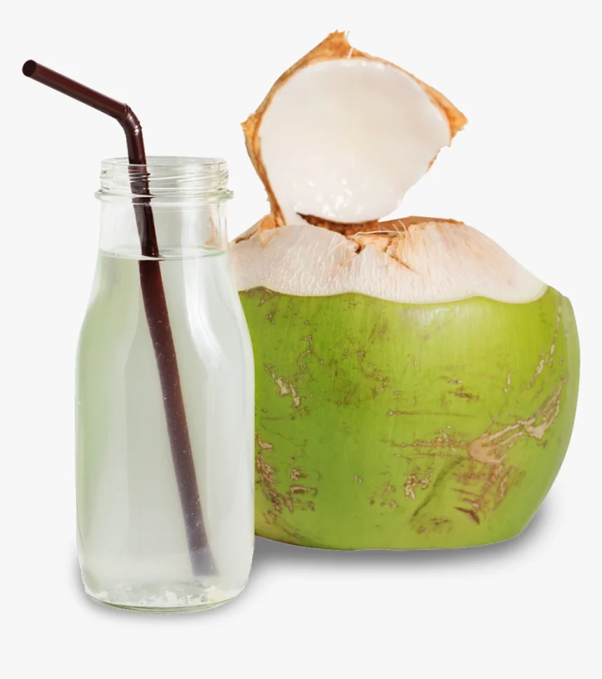 Coconut Water Coconut Water Of Skin Coconut Water Of Hair HerZindagi