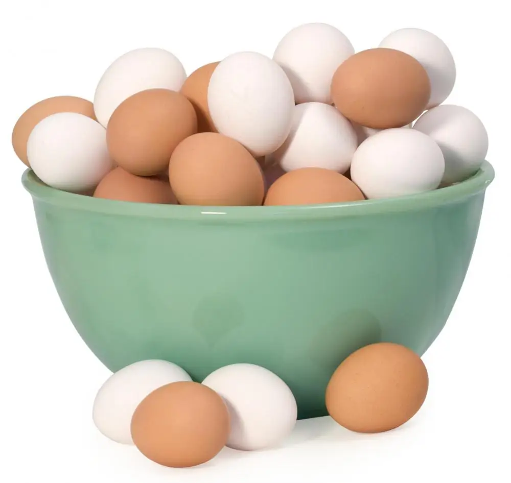 Cheap Fresh white and brown eggs for sale