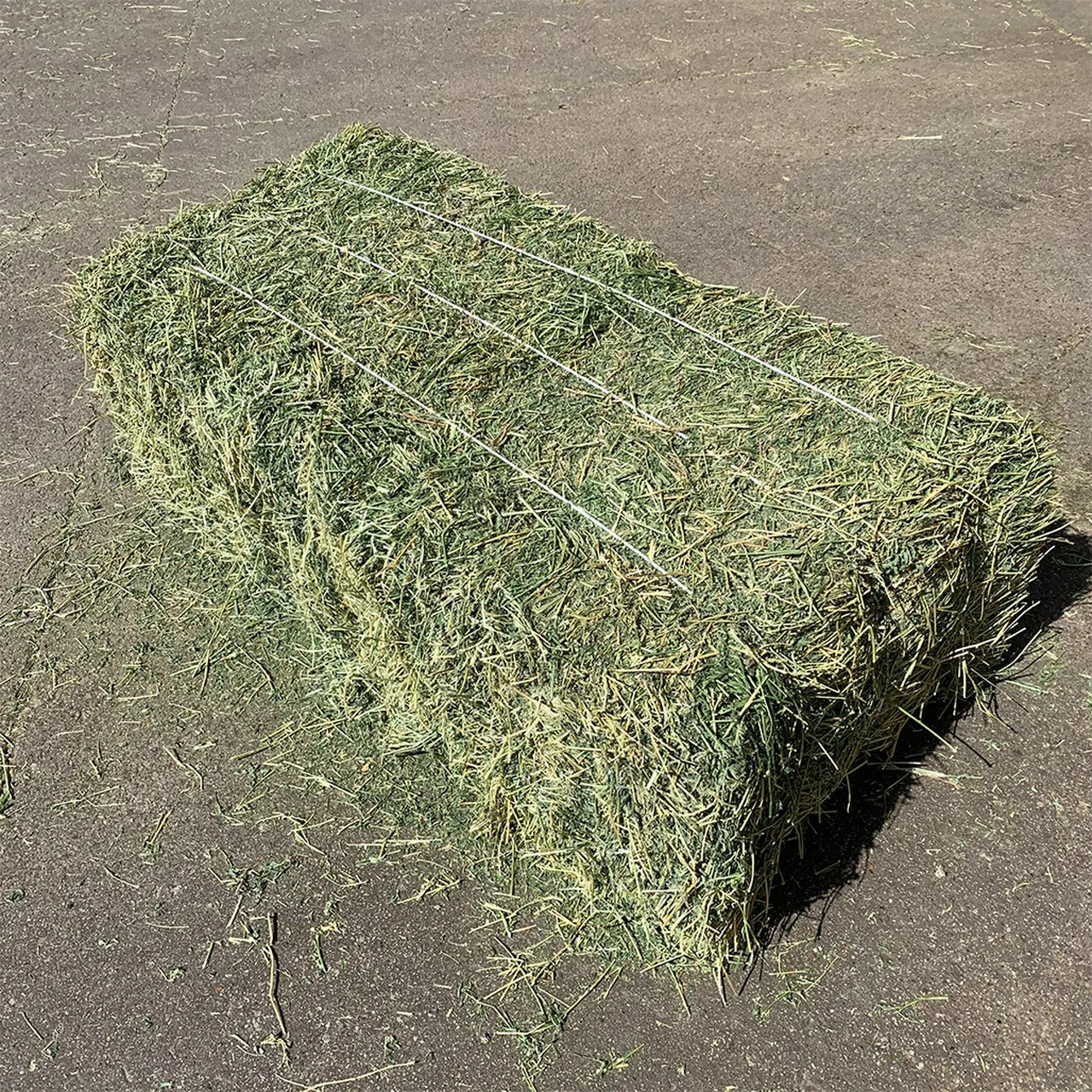 Украина Alfalfa Hay