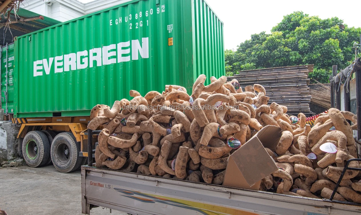 Bamboo Root Reptile Jungle Gym,Small,Medium,Large Reptile Terrarium