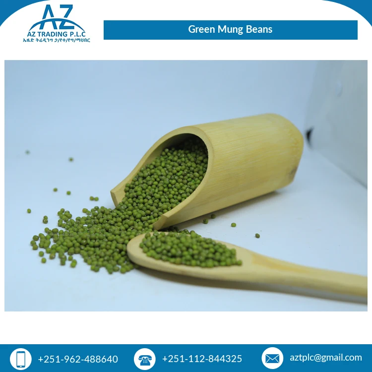 Ведущий экспортер исключительного качества сушеных видов органического культивирования зеленых бобов мунг для оптового