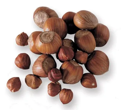 Raw Hazelnuts Kernels In Shell Hazelnuts Buy Organic Hazelnut Turkish Hazelnut Cheap Hazelnut Product On Alibaba Com