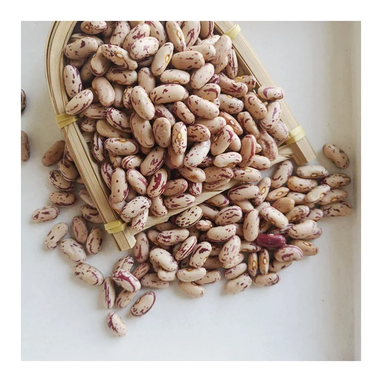 Esporta la qualità del nuovo raccolto di fagioli nani maculati chiari al miglior prezzo