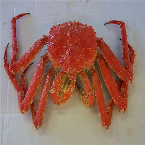 Iqf Congelados King Crabs Caranguejos Vivos Rei Rei Caranguejo Pernas Para Venda Buy Russa King Crab Legs Todo O Caranguejo De Rei Caranguejo Rei Do Alasca Product On Alibaba Com