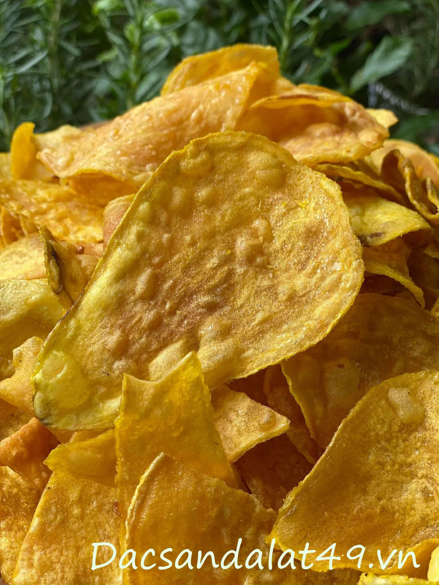Желтый высушенный сладкий картофель из Вьетнама/высушенные чипсы для сладкого картофеля на