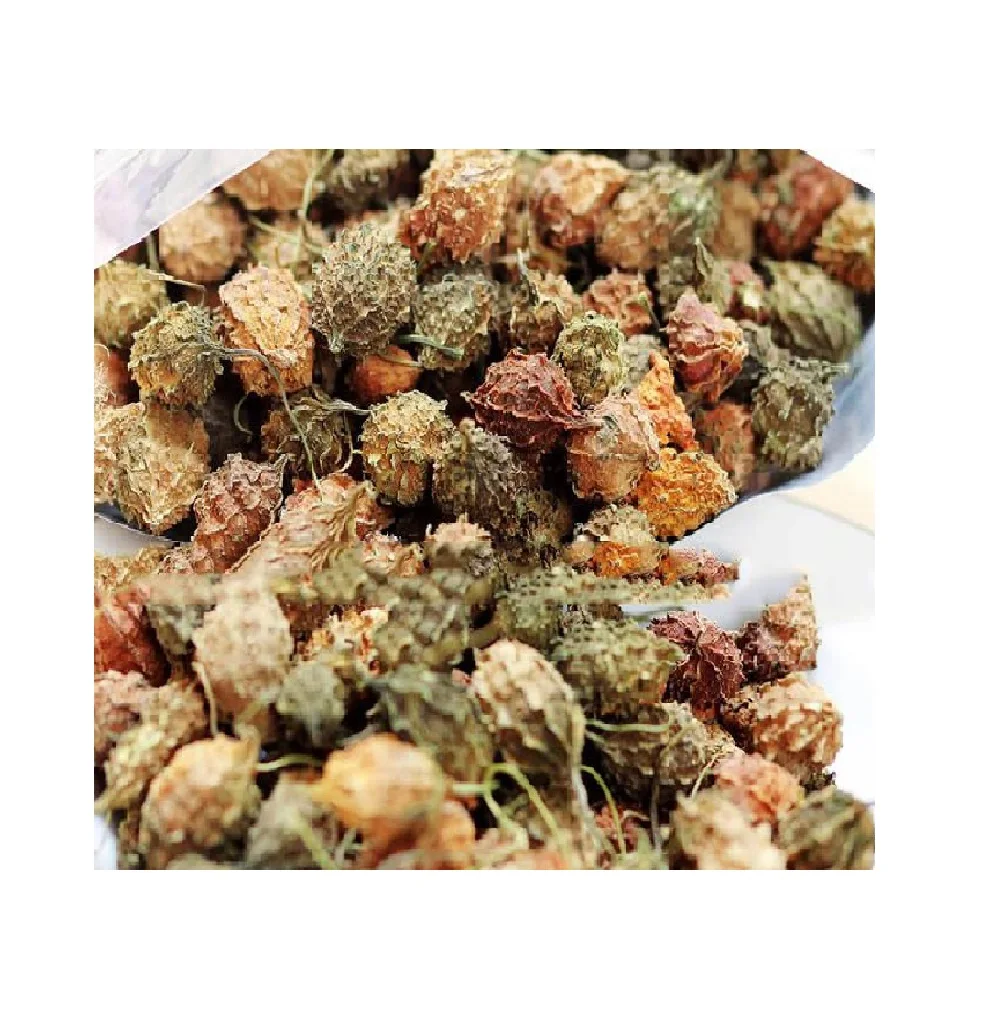 Organic Dried Bitter Melon From Vietnam Dried Bitter Melon Fruit Bitter Melon Tea Jasmine 84 37 4619 429 Buy Vietnam Bitter Melon Bitter Melon Dried Bitter Melon Healthcare Products Pharmaceutical Raw Material