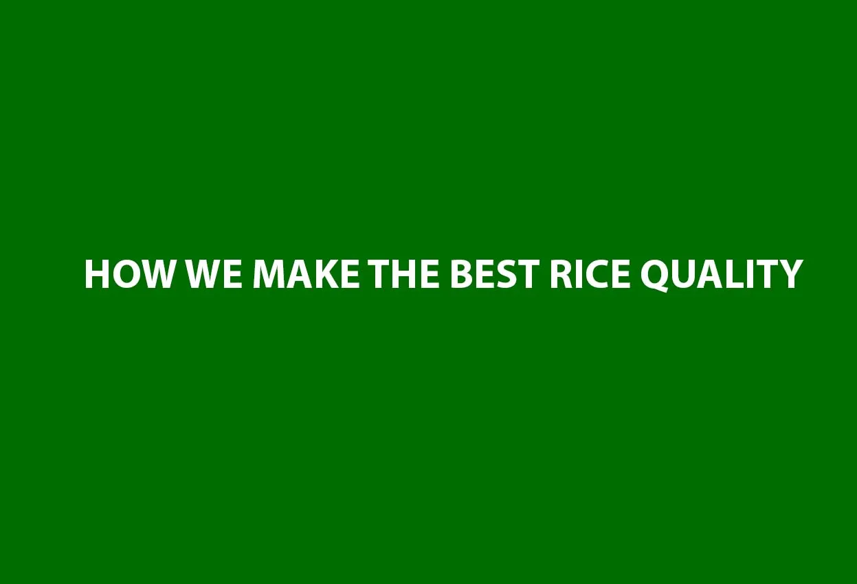 Oem Premium Grade 100 Guarantee Vietnamese Rice Wholesale Organic Rice