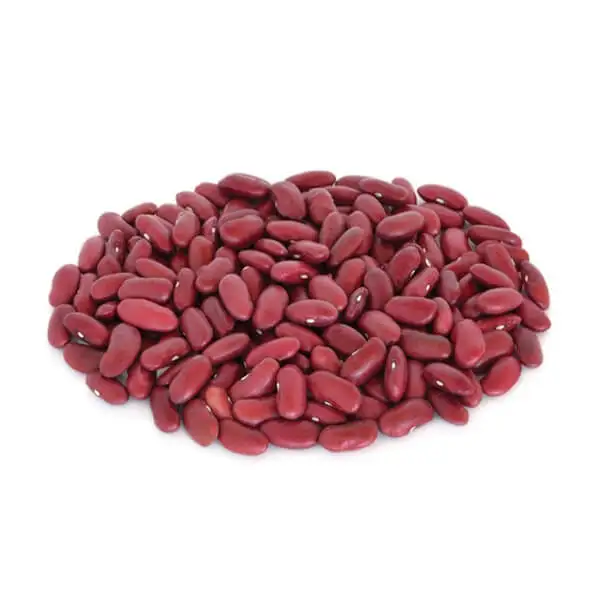 new crop red kidney beans