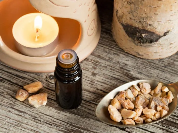 Bodhi Tree Resin in Vietnam - Axel +84 38 776 0892