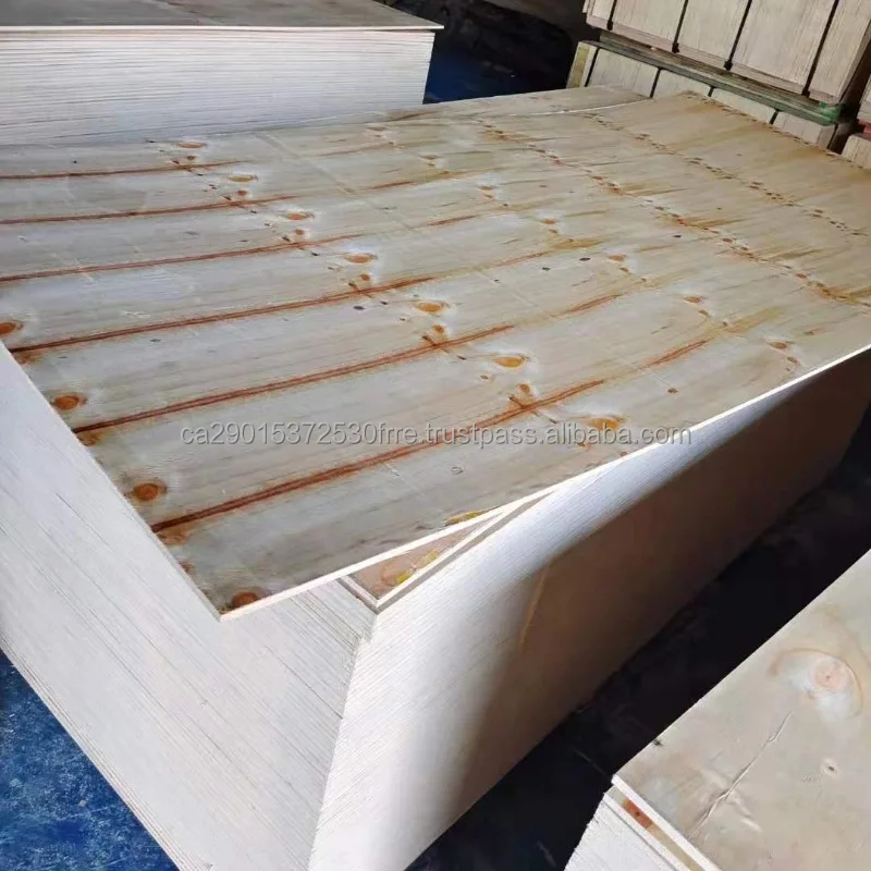 4x8 Construction Grade Pine Cdx Plywood At Wholesale Price Waterproof