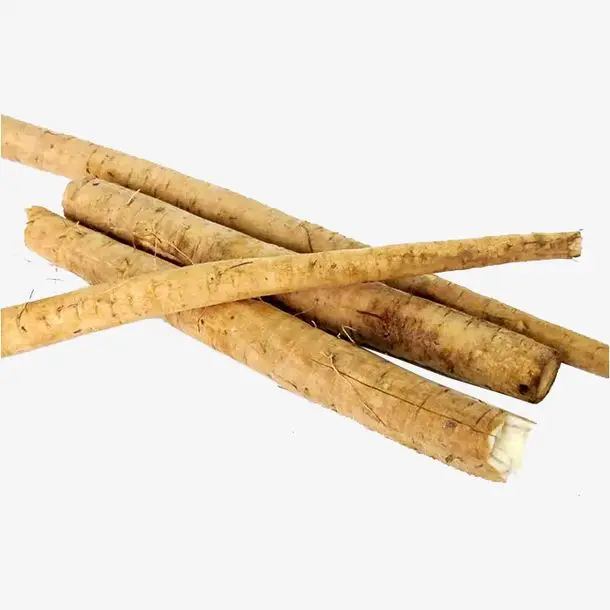 Fresh Burdock.jpg