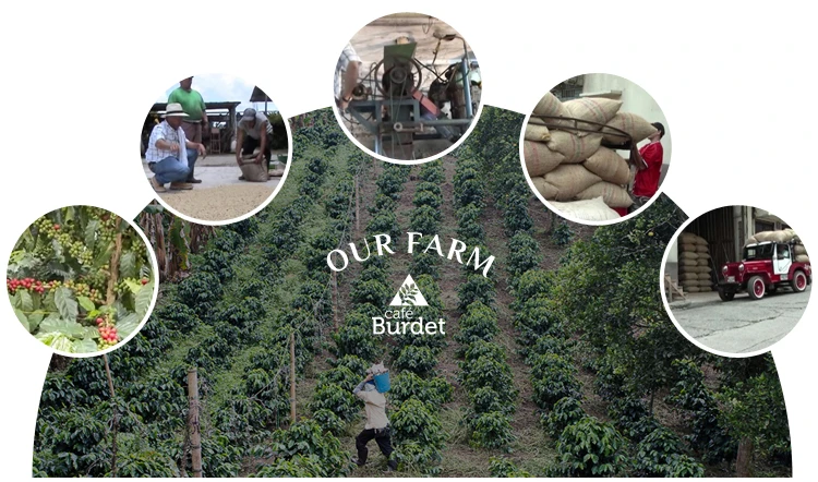 Farm.jpg
