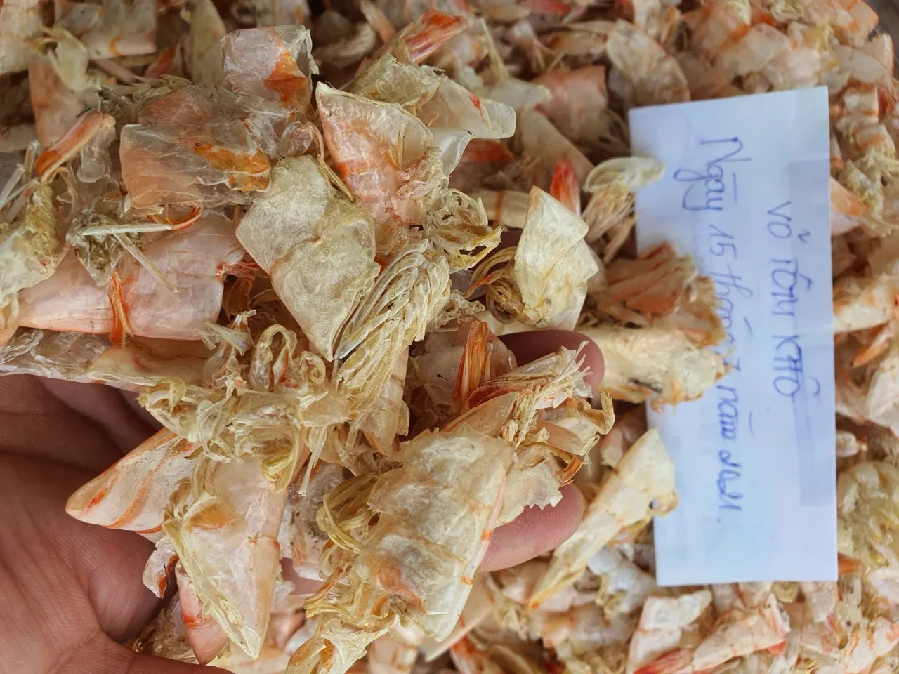 Wholesale Supply Of Dried Shrimp Shell For Animal Feed Buy Dried