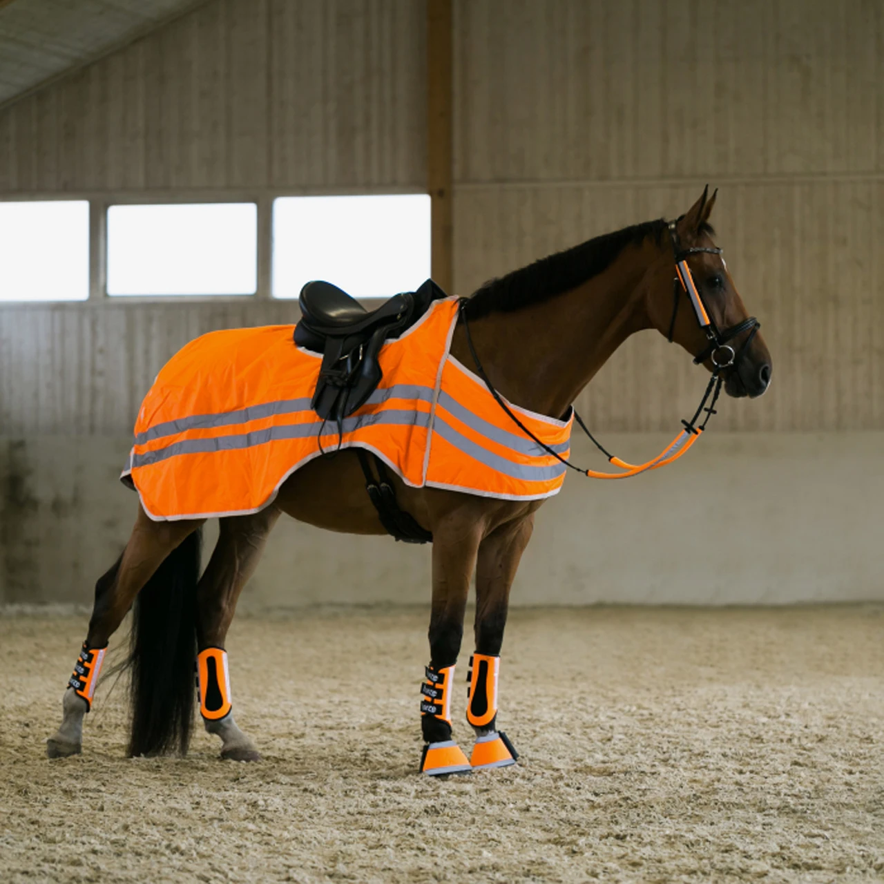 Horse wear. Одежда для лошадей. Horse wear. Ярмо для лошади. Лошадь в воротнике гафе.
