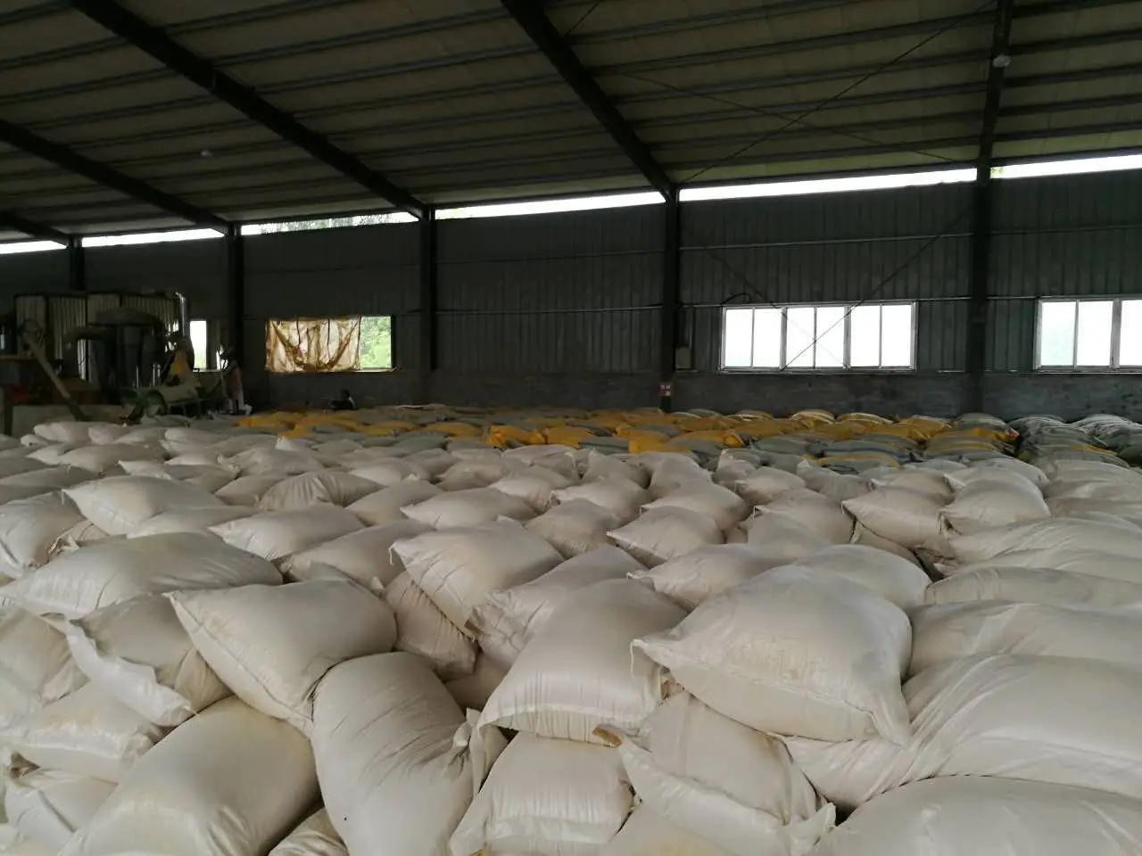 Fish Meal4.jpg